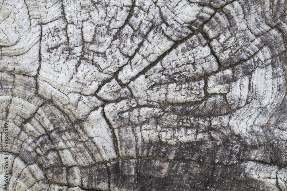 Pattern on wood for background Pattern on wood for background