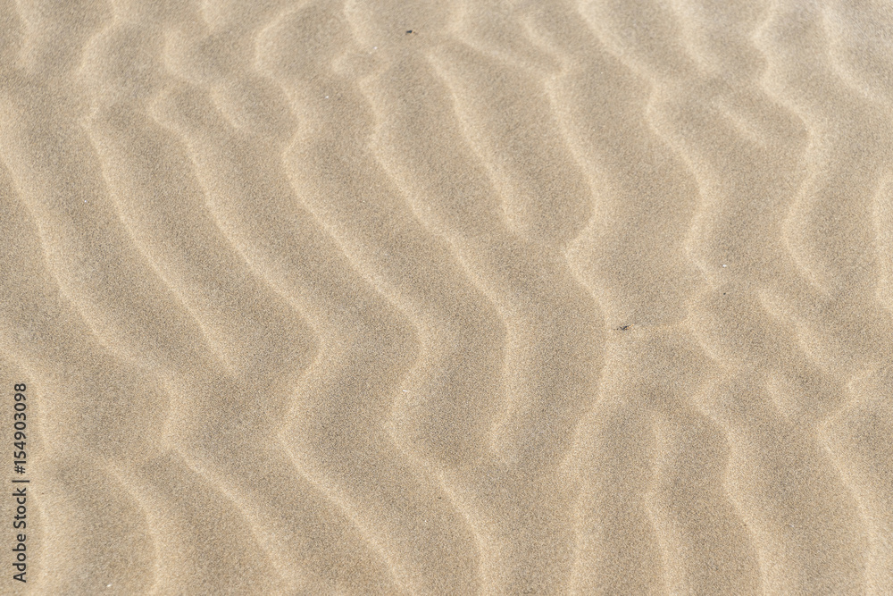 Beach sand texture, La Marquesa Beach, Delta de l'Ebre, Tarragona, Catalonia, Spain. Beach sand texture, La Marquesa Beach, Delta de l'Ebre, Tarragona, Catalonia, Spain.