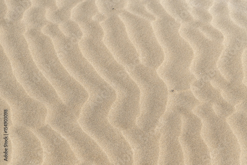 Beach sand texture  La Marquesa Beach  Delta de l Ebre  Tarragona  Catalonia  Spain.