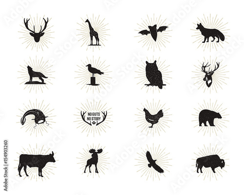 Set of wild animal figures and shapes with sunbursts isolated on white background. Black silhouettes wolf, deer, moose, bison, eagle, seagull, cow, and owl. Animals shapes bundle. Vector