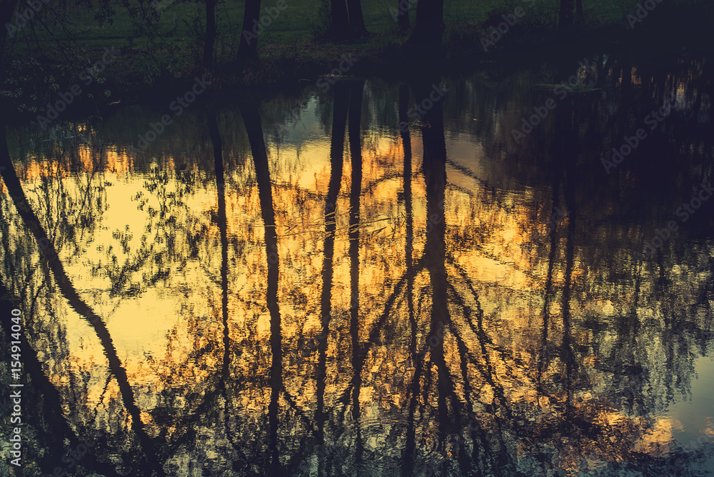 Tree reflection in the water Tree reflection in the water