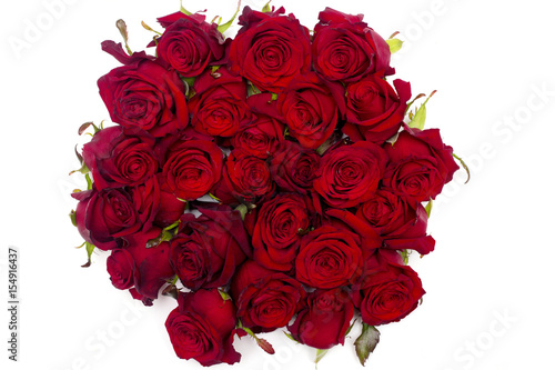 Red rose on white background. Buds of flowers