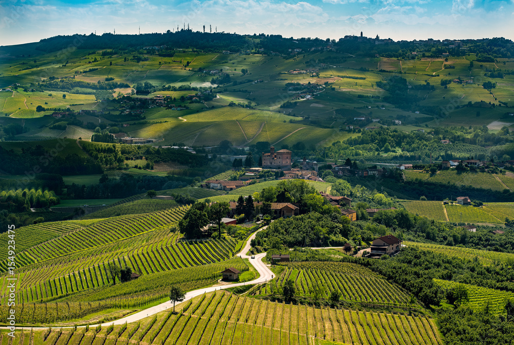 wide panorama of langhe rregion in northern Italy with vineyards