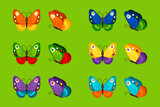 Colorful butterflies icons