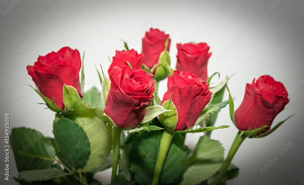 Beautiful bouquet of red roses full of love Beautiful bouquet of red roses full of love