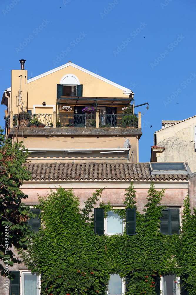 wall of an old house covered with foliage of liana Corfu town Greece