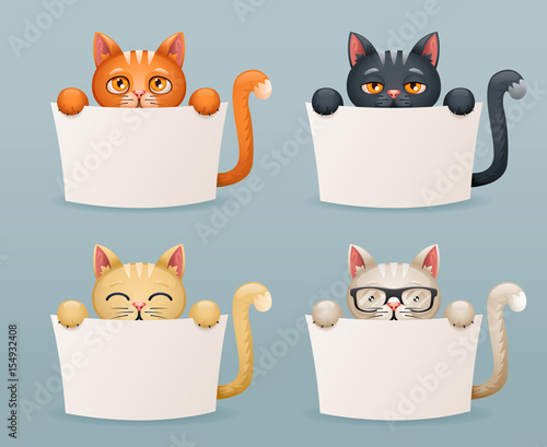 Beggar cats animals need help paws hold blank paper cartoon 3d characters set vector illustration