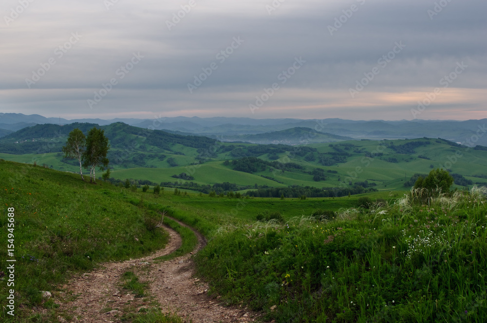 Landscape with country road to the valley in the spring foothills at fields with green grass of Altai mountains under sunset cloudy sky, Siberia, Russia
