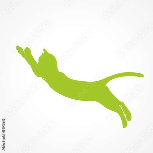 silhouette félin