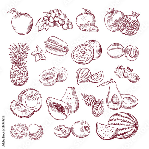 Fresh and juicy fruits. Vector hand drawn illustration isolate on white background. Doodle pictures set