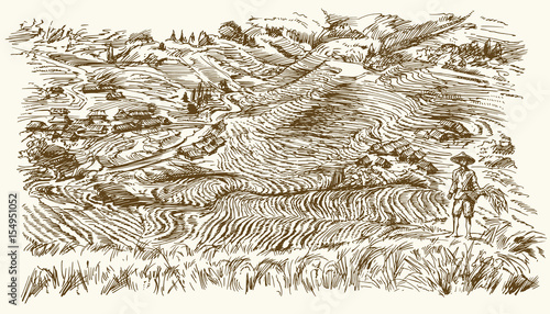 Rice terraces of Longsheng. Hand drawn illustration.