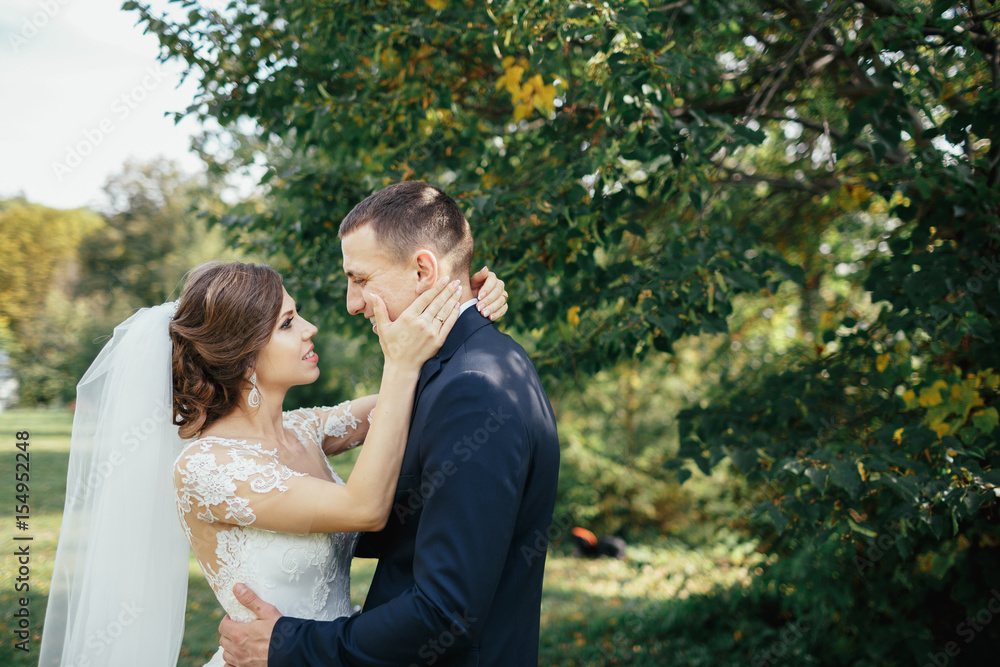 The charming brides embracing in the park The charming brides embracing in the park