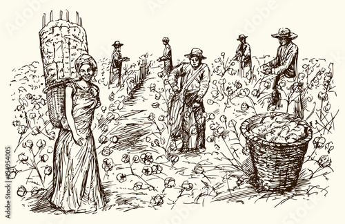 Workers picking cotton. Hand drawn illustration.