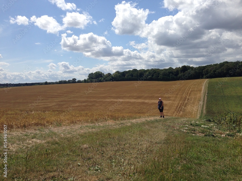 Walk across the fields Walk across the fields