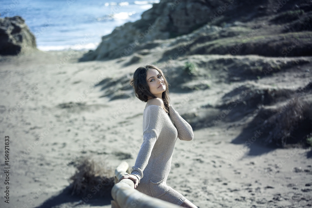 Beautiful young brunette woman on the beach sand on a wooden railing