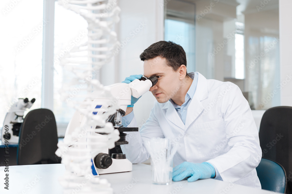 Delighted practitioner working in the laboratory Delighted practitioner working in the laboratory