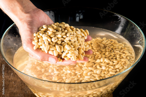 Canvas Print Soybean or Glycine max in hand and soak in water 3 hour be for make soy milk