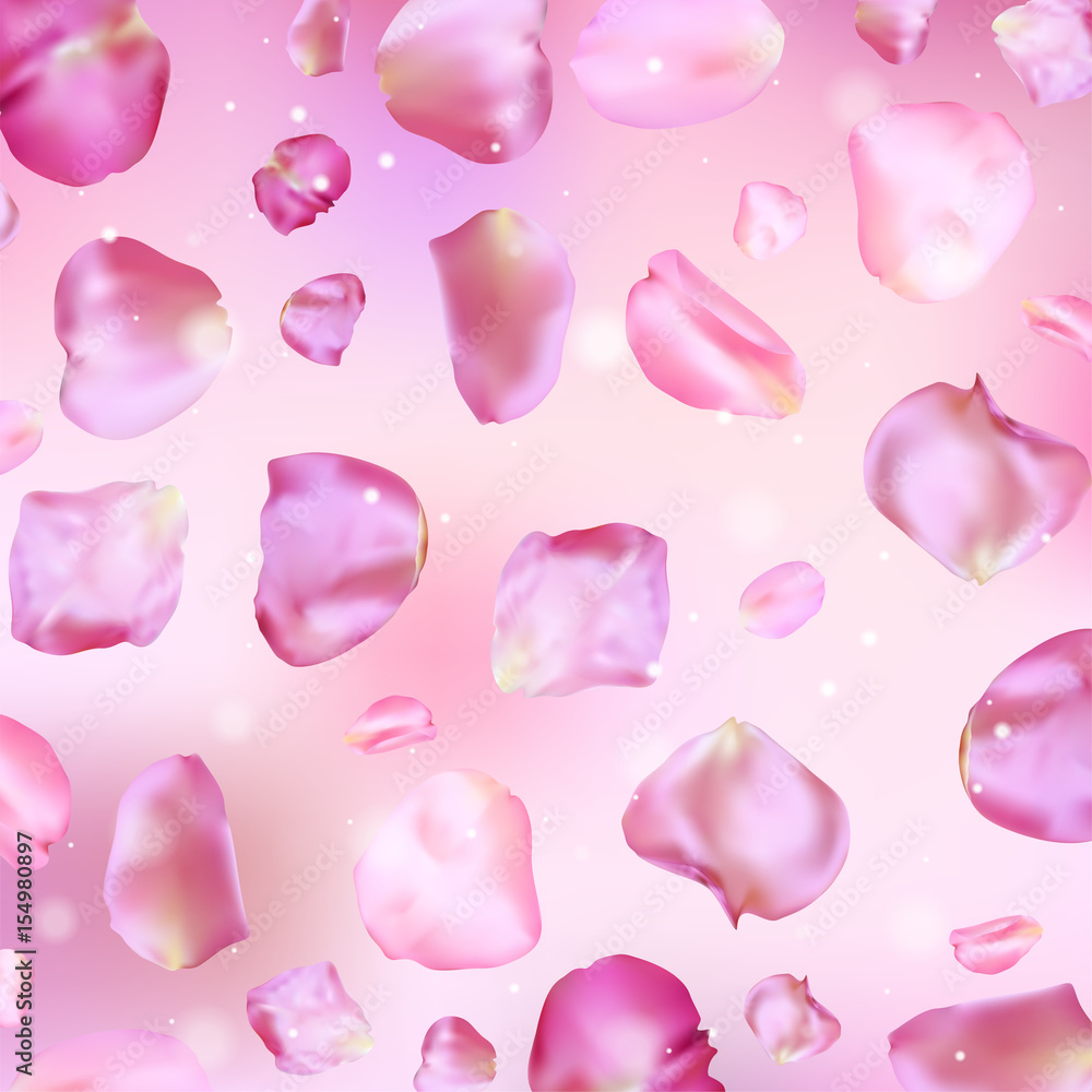 Pink rose petals. Realistic vector illustration