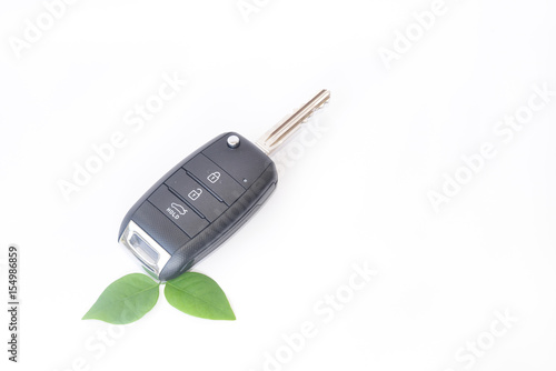 green leaf with car key 