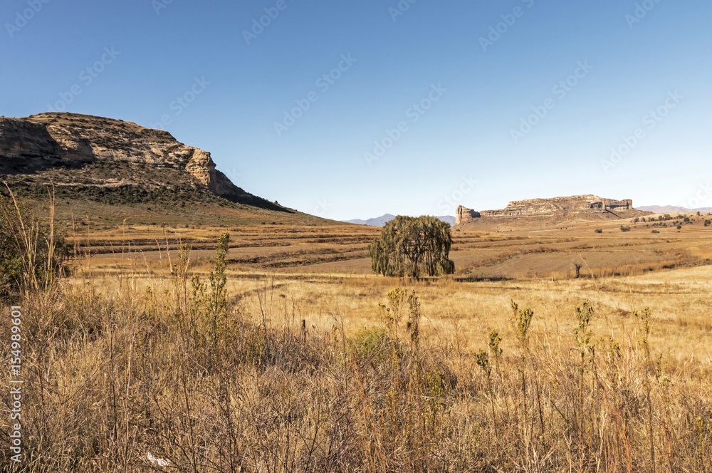 Fototapeta premium Golden cold dry winter landscape and rocky mountain against blue cloudy sky in the Orange Free State in South Africa