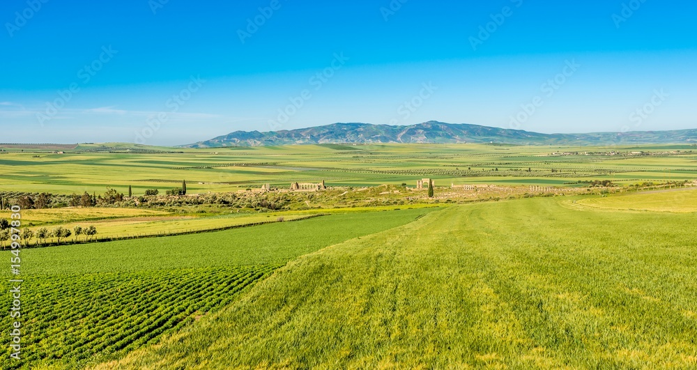 View at the nature near ruins of Volubilis - Morocco View at the nature near ruins of Volubilis - Morocco