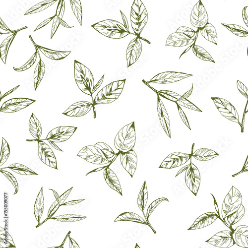 seamless pattern with green tea, hand-drawn leaves and branches of tea