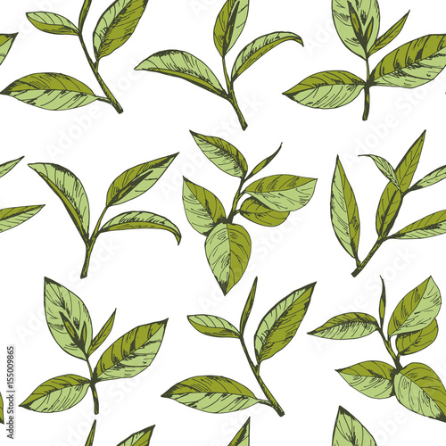 seamless pattern with green tea, hand-drawn leaves and branches of tea