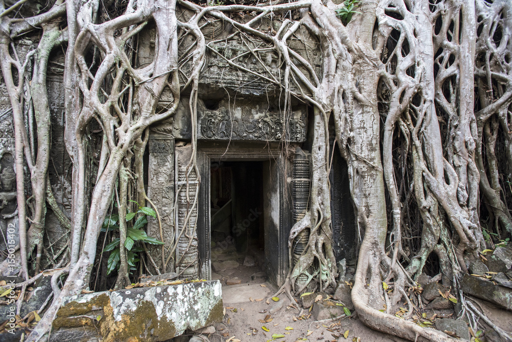 Φωτογραφία The entrance to the temple of the pierced roots