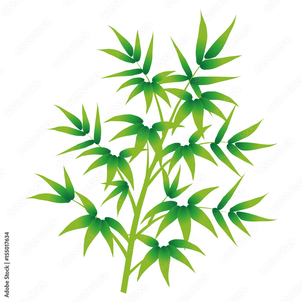 Obraz premium 七夕の笹