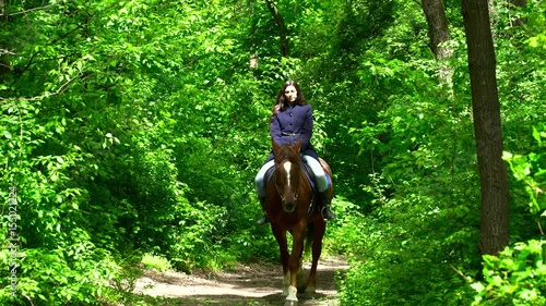 Young brunette woman riding a horse in the forest during the summer