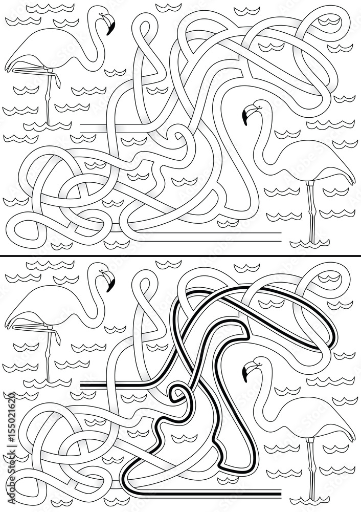 Fototapeta premium Flamingo maze