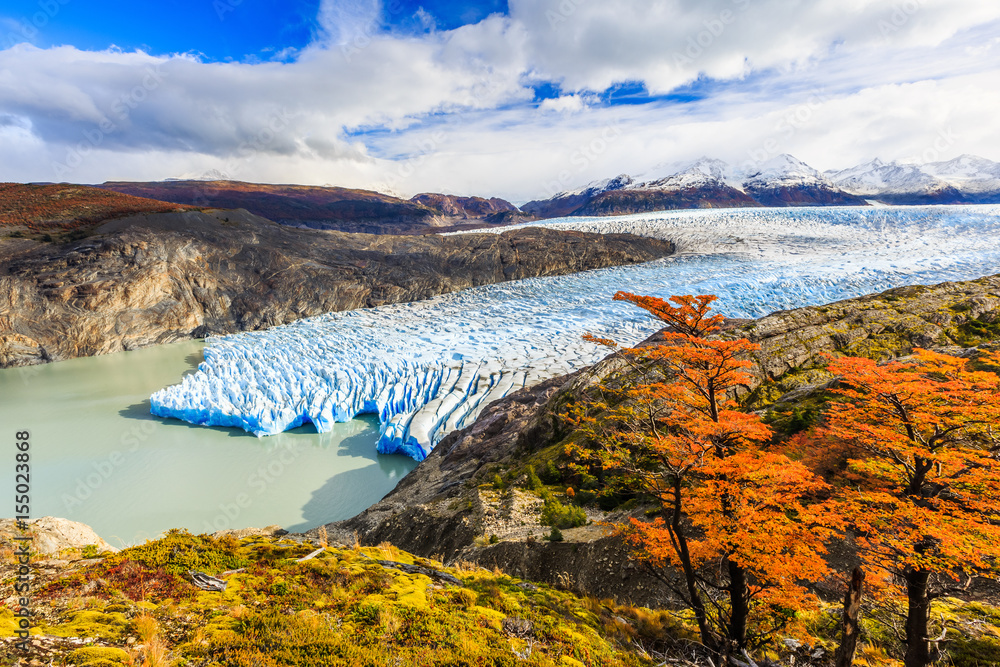 Torres Del Paine National Park, Chile. Grey Glacier.