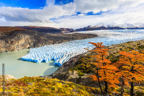 Fototapet Torres Del Paine National Park, Chile. Grey Glacier.