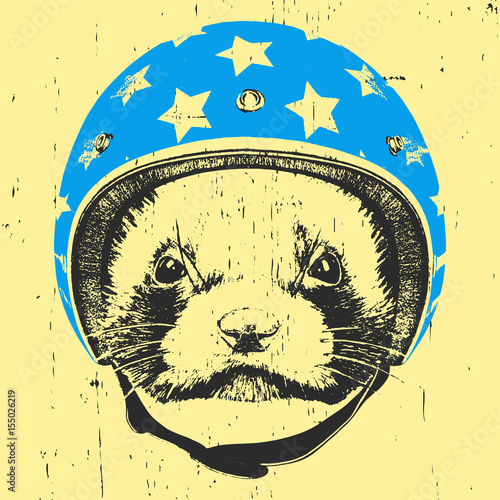Portrait of Least Weasel with Helmet.  Vector