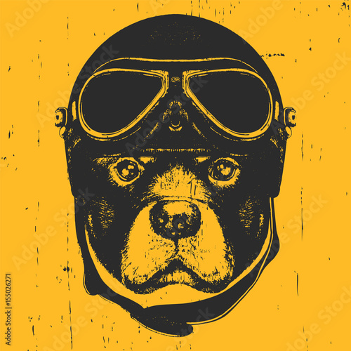 Portrait of Rottweiler with Vintage Helmet. Vector
