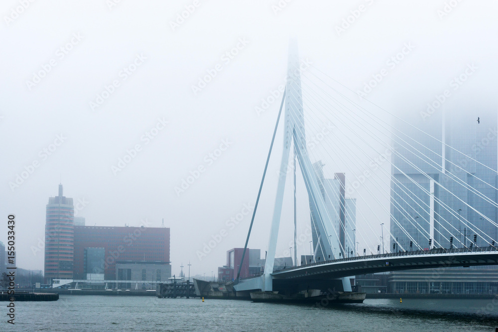Naklejka premium Street view of Port of Rotterdam, the nickname 