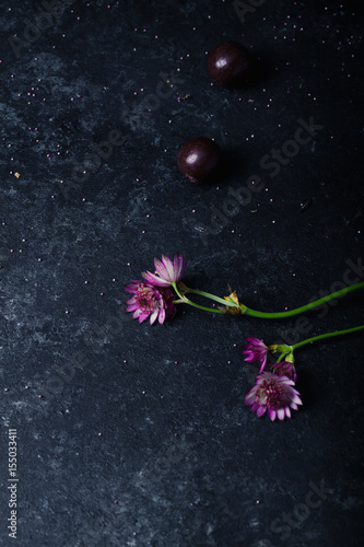 Chocolate layered cake with ganache cream with flowers and biscuit decoration on dark rustic background. Guilty pleasure concept © Anastasiia Nurullina