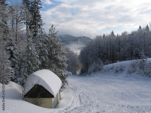 Winter am Unterberg photo