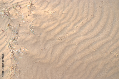 closeup of sand pattern and footprint of a beach in the summer.