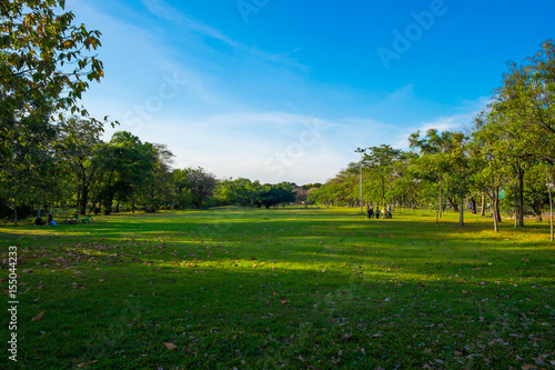 Green meadow field in city park blue sky