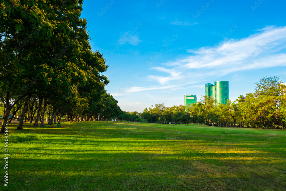 Green meadow field in city park blue sky