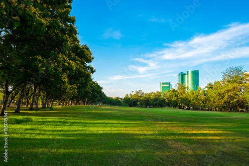 Green meadow field in city park blue sky