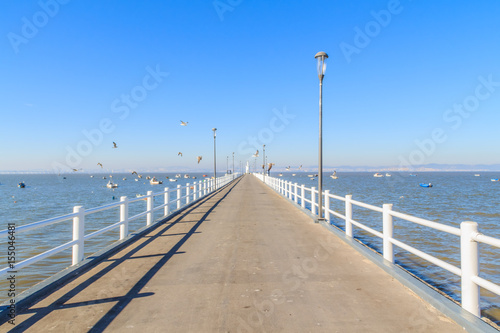 Vista do Pont  o de Alcochete em Portugal