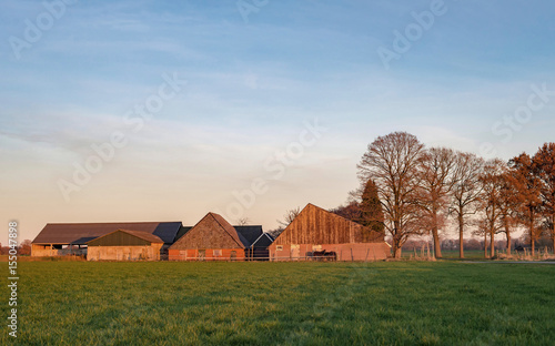 Shed and barns in dutch rural autumn landscape lit by low sunlight.