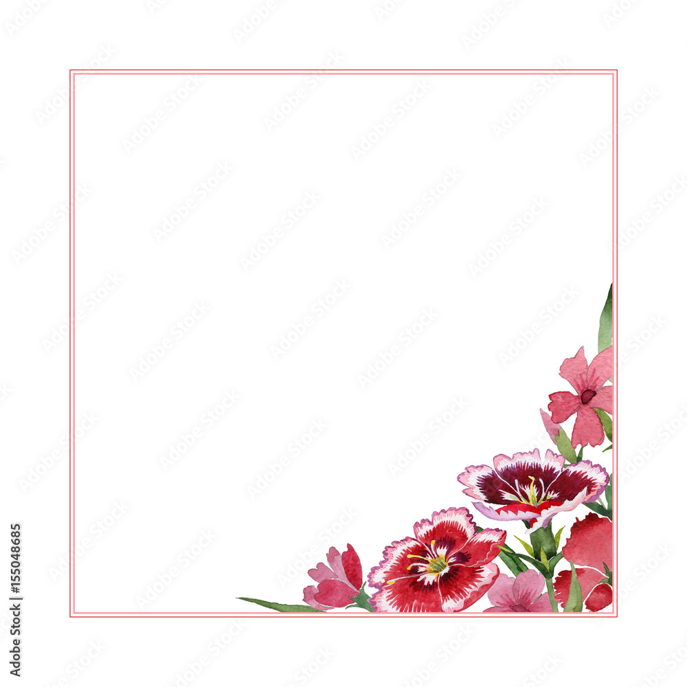 Obraz premium Wildflower carnation flower frame in a watercolor style isolated.