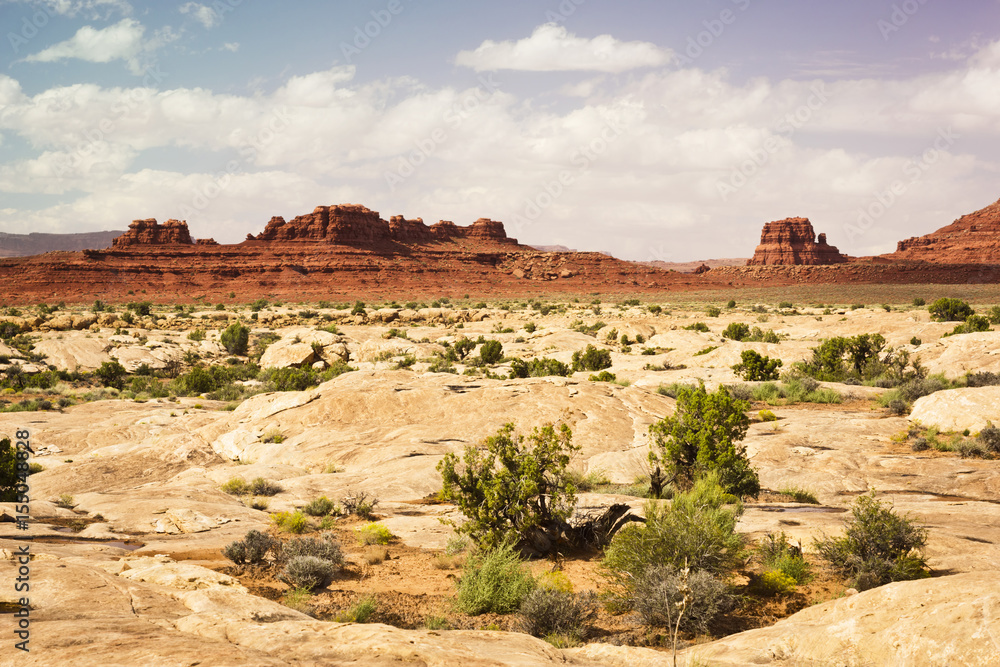 Southwestern Desert Vista of Mesas, Buttes, and Slickrock