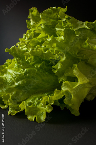 Salad leaf. Lettuce on black background.