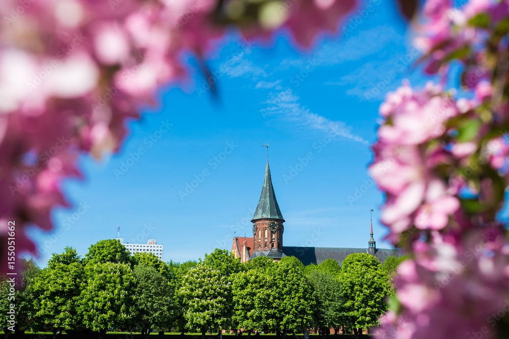 Spring cityscape, Kaliningrad