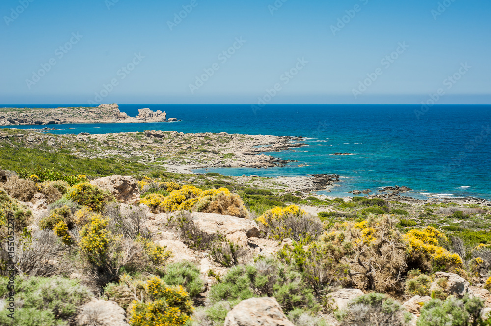 Greece, Crete, view to the green hills and sea, turquoise rock beach and colorful shrubs