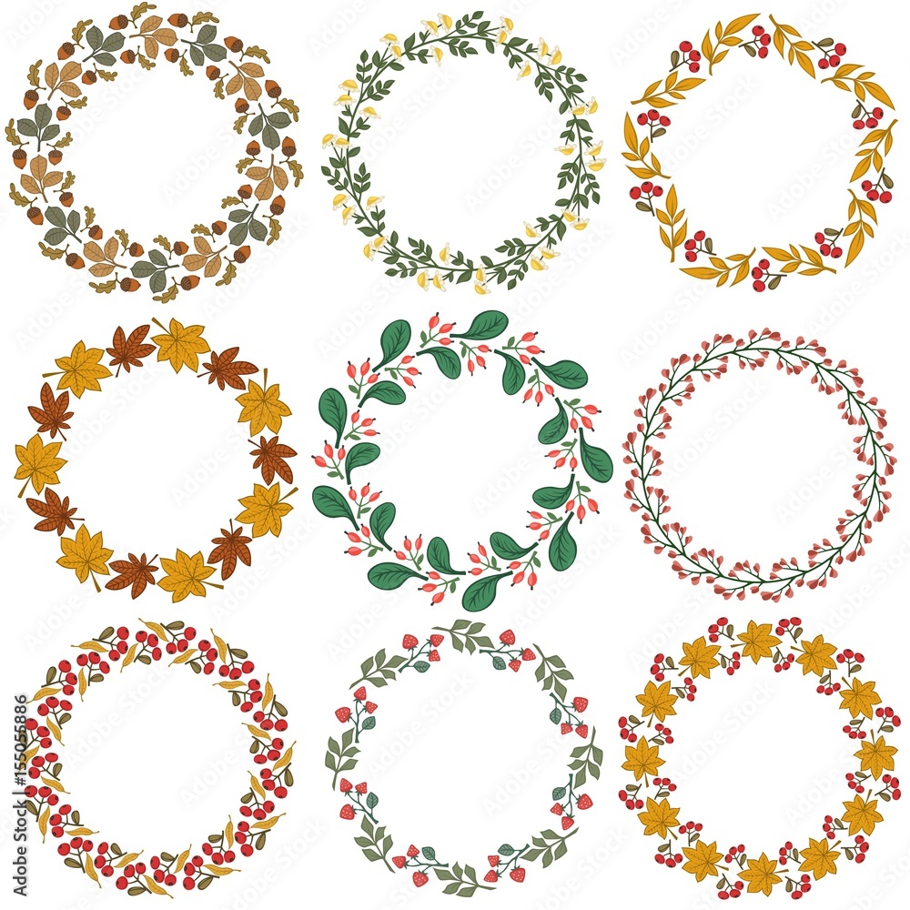 Set of froral decorative ornamets. vector illustration.